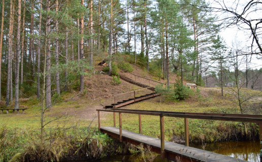 Šaudzyklos kalnas.jpg